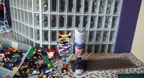 protesi lego_confronto