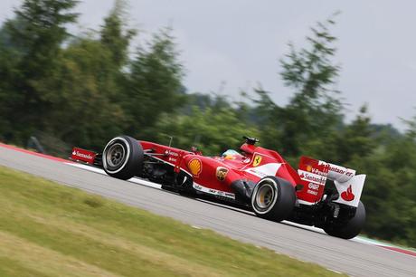 Fernando-Alonso_PL_GP_Germania_2013 (7)