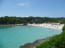 Petit Sperone plage4 226x170 LE SPIAGGE PIÙ BELLE DELLA CORSICA SUD: DA PALOMBAGGIA A ROCCAPINA