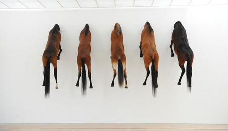 5 Cavalli _ Maurizione Cattelan _ Fondazione Beyeler