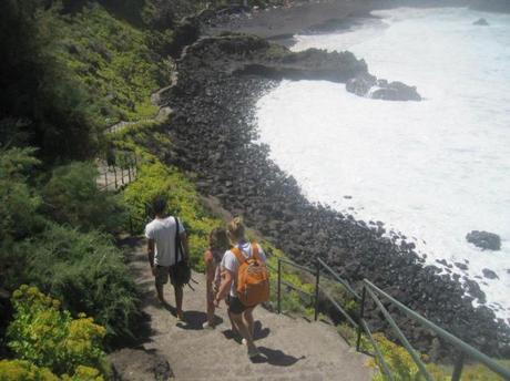 Le canarie in pillole, Tenerife e i microclimi