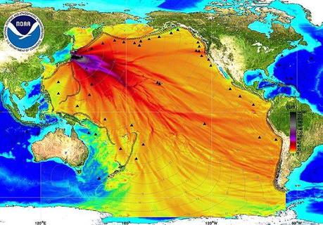 Fukushima, Disastro Globale