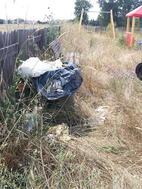 L'inumana situazione di sporcizia e degrado del Parco del Pineto. Ecco tutte le foto