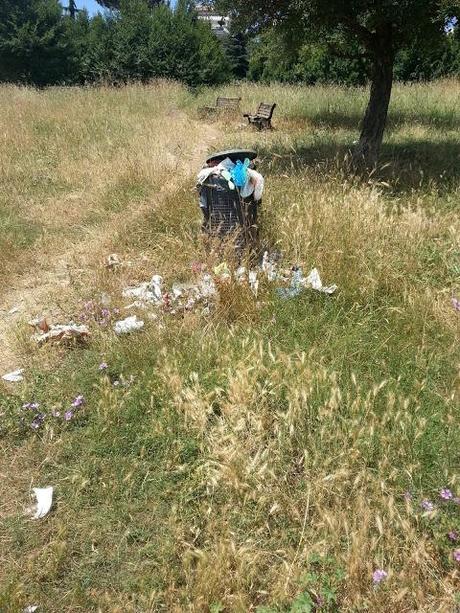 L'inumana situazione di sporcizia e degrado del Parco del Pineto. Ecco tutte le foto