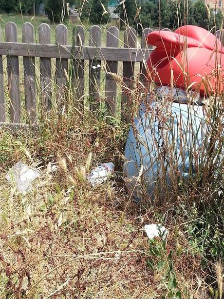 L'inumana situazione di sporcizia e degrado del Parco del Pineto. Ecco tutte le foto