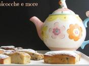 mini cake albicocche more