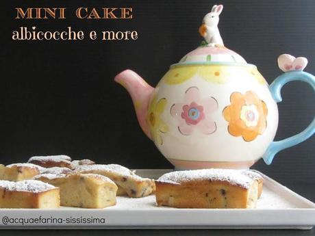 mini cake con albicocche e more