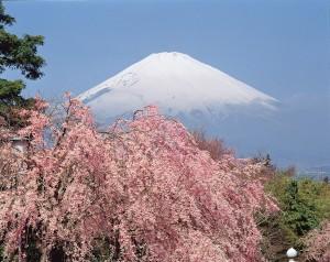 Buon vecchio Monte Fuji!!!!