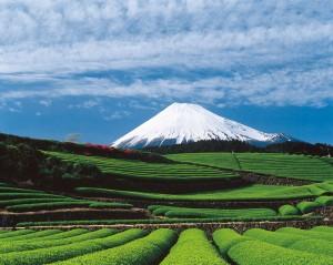 Buon vecchio Monte Fuji!!!!