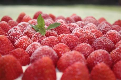 Torta fredda alle fragole con camy cream al cioccolato bianco