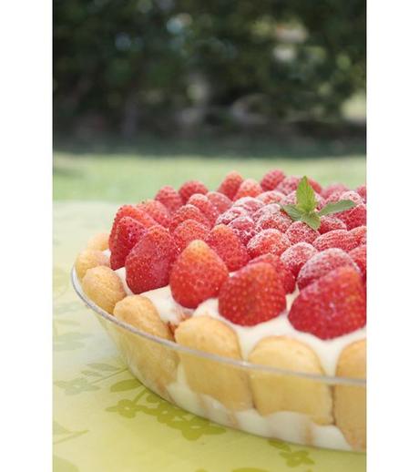 Torta fredda alle fragole con camy cream al cioccolato bianco