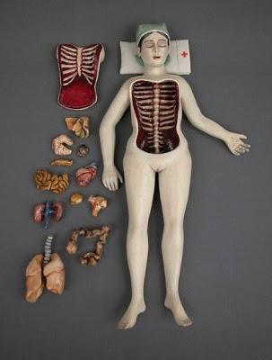 Dollanatomy from spiritual to surgical