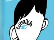Wonder