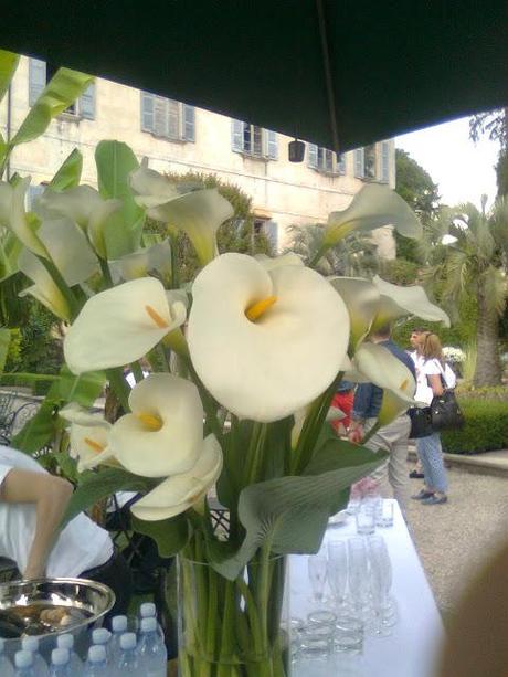 MERENDA IN TERRAZZA!