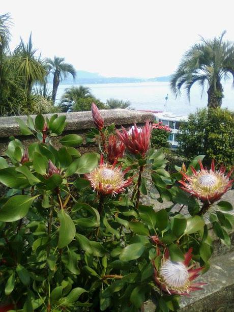 MERENDA IN TERRAZZA!