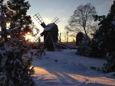 GIARDINI SOTTO LA NEVE