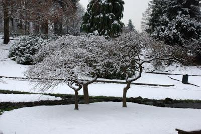 GIARDINI SOTTO LA NEVE