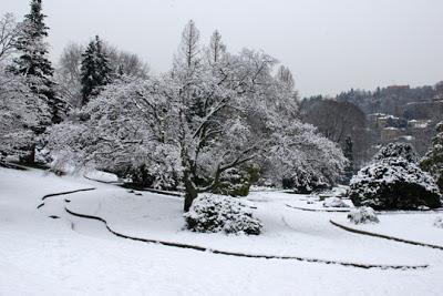 GIARDINI SOTTO LA NEVE