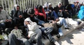 Papa Francesco a Lampedusa: diretta video lampedusa