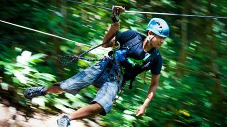 flying-fox