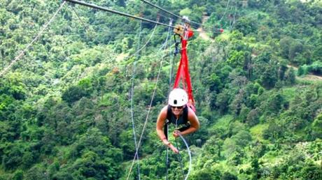 flying-fox