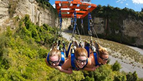 Le flying-fox più pazze del mondo