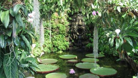 I Giardini La Mortella, Ischia