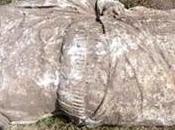 statua romana mutila ritrovata Turchia