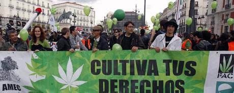 I Social Cannabis Club di Madrid