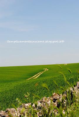 Prati verdi - Green Meadows