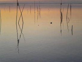 Lago Trasimeno, foto di Laura Fratini