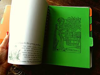 Book of Garden Cuttings_solo per gli amanti del giardino!