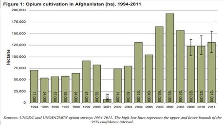 Afghanistan, l'editto anti-oppio e lo 