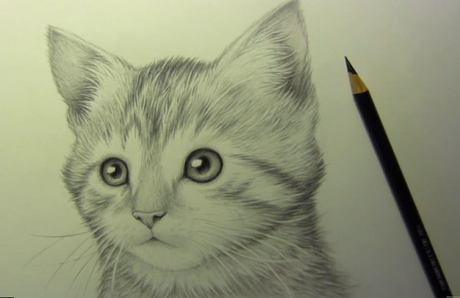 video-tutorial-disegnare-gatto-matita