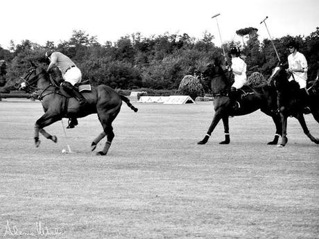 Nino lettieri polo fashion day