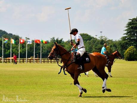 Nino lettieri polo fashion day