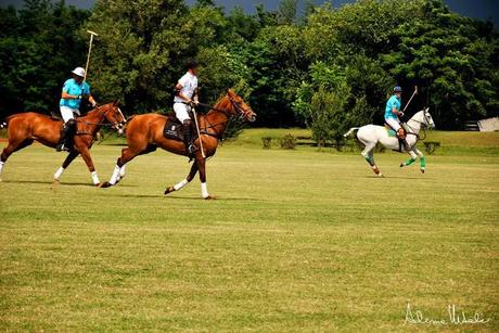 Nino lettieri polo fashion day