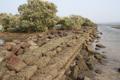 Vecchia Goa, alla scoperta del porto romano di Gopakapattana