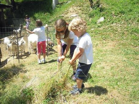 FESTA DI ROSBELLA!
Lo scorso 30 giugno siamo andati alla festa...