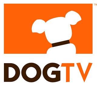 Arriva in America dal 1 agosto il primo canale televisivo solo per cani