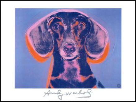 Cane AndyWarhol