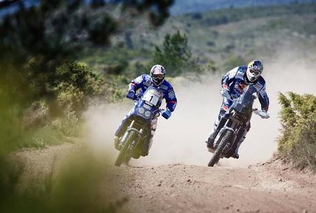 Yamaha YZ 450F Rally C.Despres 2013