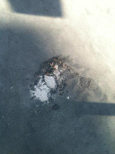 Storie semplicemente allucinanti da Piazzale Clodio. Si, si, quel posto dove affaccia il Tribunale...