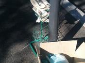 Storie semplicemente allucinanti Piazzale Clodio. quel posto dove affaccia Tribunale...