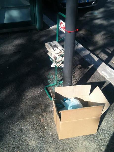 Storie semplicemente allucinanti da Piazzale Clodio. Si, si, quel posto dove affaccia il Tribunale...