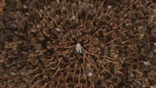 Game Of Thrones 3x10 - Il Nord ricorda, lo sfregio degli Stark, Reek e tante cose dimenticate! -SPOILER-