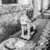 Urban trekking: alla scoperta di Spoleto per scorci affascinanti e scale mobili