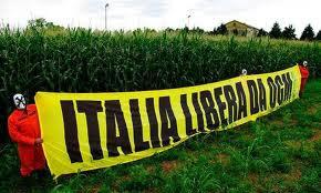 Finalmente l'Italia è libera dagli OGM!