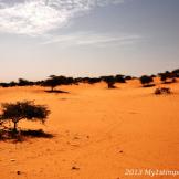 Scatti di un viaggio senza fine #5: Mauritania e la terra di nessuno