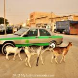 Scatti di un viaggio senza fine #5: Mauritania e la terra di nessuno